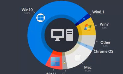 An image showing a donut chart with the market share of several different desktop operating system companies: Microsoft, Apple, Google, and Linux.