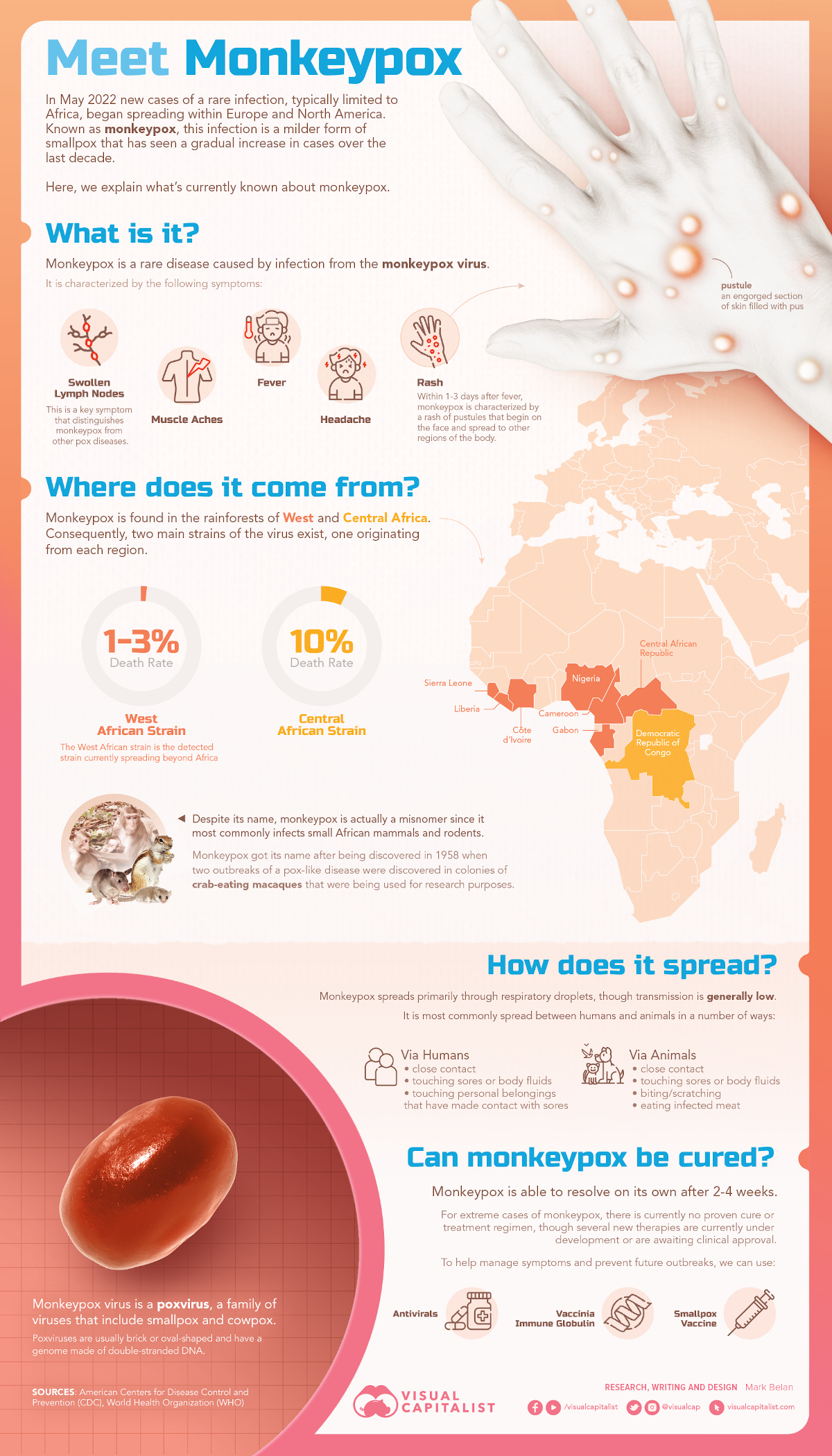 monkeypox explainer infographic